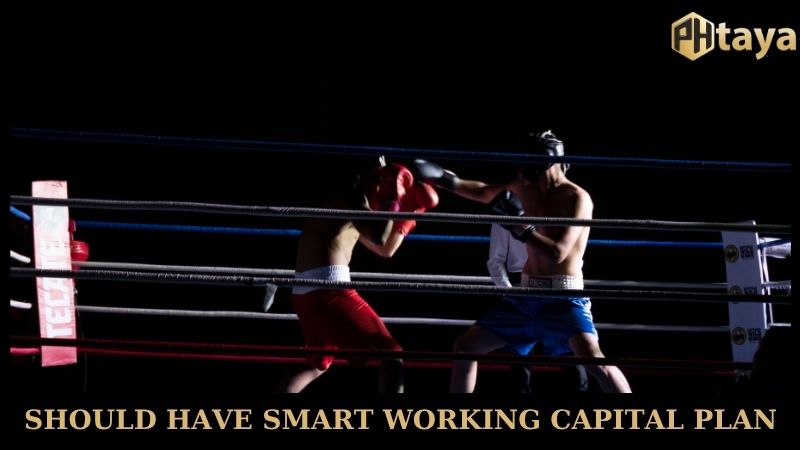 Boxing & MMA - Fierce fighting arena with classy PHTaya 8 Should have smart working capital plan