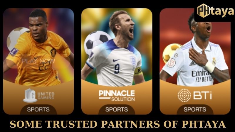 Some trusted partners of PHTAYA